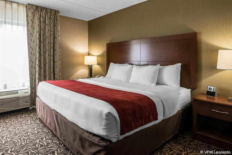Clarion Inn & Suites - University Area Cortland Zewnętrze zdjęcie